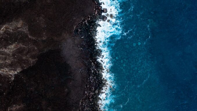 uploaded-image-sms-ile-numara-dogrulama-1698144225887