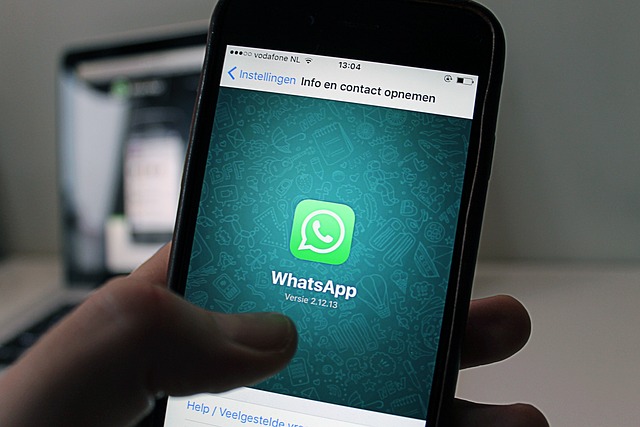 3. SMS ile Numara Doğrulama: Güvenli Mi? 3. SMS ile Numara Doğrulama: Güvenli Mi?