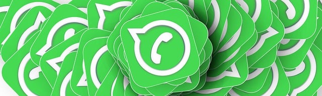 31. WhatsApp Numara Doğrulama Kodu Gelmiyor, Ne Yapmalıyım? 31. WhatsApp Numara Doğrulama Kodu Gelmiyor, Ne Yapmalıyım?